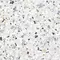 Напольная плитка «Alma Ceramica» Terrazzo Lapp. 60x60 GFU6060TRZ07L белый, фото №5