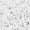 Напольная плитка «Alma Ceramica» Terrazzo Lapp. 60x60 GFU6060TRZ07L белый, картинка №6