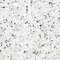 Напольная плитка «Alma Ceramica» Terrazzo Lapp. 60x60 GFU6060TRZ07L белый, фотография №7