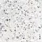 Напольная плитка «Alma Ceramica» Terrazzo Lapp. 60x60 GFU6060TRZ07L белый, изображение №8