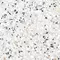 Напольная плитка «Alma Ceramica» Terrazzo Lapp. 60x60 GFU6060TRZ07L белый, изображение №12