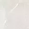 Напольная плитка «Artkera Group» Titanium Matt. 60x60 GP6060TIA00M white, картинка №10