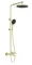 Душевая система «Aqueduto» Chuva CHU0250 шлифованное золото, фото №1