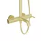 Душевая система «Aqueduto» Chuva CHU0250 шлифованное золото, картинка №2