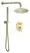 Душевая система «AQUAme» AQM8404BG шлифованное золото, фото №1