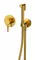 Смеситель с гигиеническим душем «Whitecross» Y SYSYBI1GLB брашированное золото, фото №1