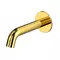 Излив к смесителю «Whitecross» Y Y1201GL золото, фото №1