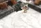 Напольная плитка «LCM» Calacatta Luna Matt. 80x80 carving 8080UNA00M белый, картинка №14 Напольная плитка «LCM» Calacatta Luna Matt. 80x80 carving 8080UNA00M белый, картинка №14