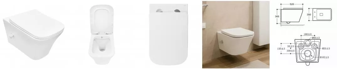 Унитаз подвесной Azario Nove 350х520х365 безободковый, c функцией биде, в комплекте быстросъемное сиденье микролифт (AZ-9321B)