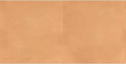 Настенная плитка «Kerama Marazzi» Капри 20x20 5238 оранжевый