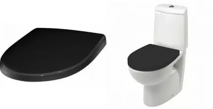 Сиденье для унитаза «Roca» ZRU9000102 дюропласт черное