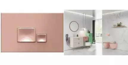 Кнопка смыва «Isvea» Axis Piazza 54MJ0108I лососевый Кнопка смыва «Isvea» Axis Piazza 54MJ0108I лососевый