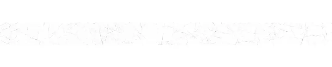 Настенная плитка «Delacora» Frost Glossy 74x24,6 WT15FRR00R white