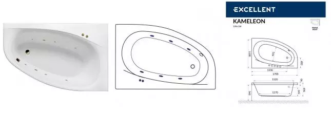 Гидромассажная ванна акриловая «Excellent» Kameleon 170/110 Soft с каркасом с сифоном белая/бронза правая
