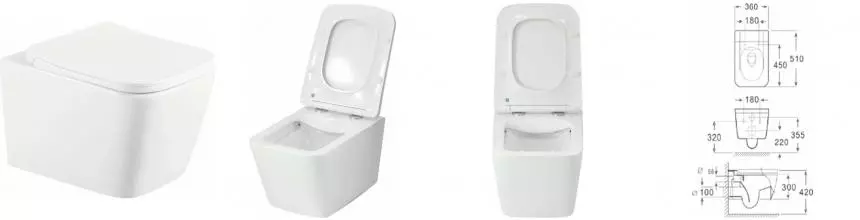 Подвесной унитаз безободковый «Selena» Quadra Q001WG белый с сиденьем дюропласт с микролифтом белое