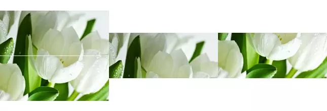 Настенное панно «Polcolorit» Arco Tulipan Glossy (комплект из 2 шт.) 60x50 х9999049569 verde