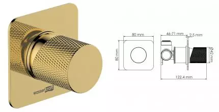 Смеситель для душа «WasserKRAFT» Ems 7651 золото Смеситель для душа «WasserKRAFT» Ems 7651 золото