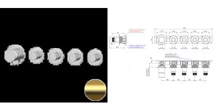 Смеситель для душа «Remer» X-Style N98D4PBG брашированное золото