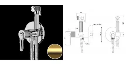 Смеситель с гигиеническим душем «Daniel» Brooklyn BY645DCZDP брашированное золото