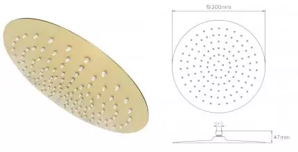 Верхний душ «Raglo» R451.56.03 матовое золото