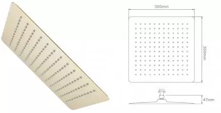 Верхний душ «Raglo» R451.55.03 матовое золото