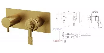 Смеситель для душа «Remer» Atelier AL92ZBG брашированное золото