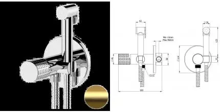 Смеситель с гигиеническим душем «Remer» Celebrity CEC65WBG брашированное золото