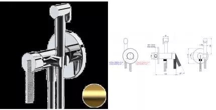 Смеситель с гигиеническим душем «Daniel» Club ANC645BP4DCDP брашированное золото Смеситель с гигиеническим душем «Daniel» Club ANC645BP4DCDP брашированное золото