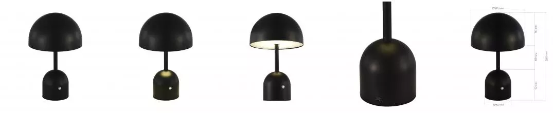 SLE1806-404-01 Прикроватная лампа Черный/Черный LED 1*3W 3000-6000K