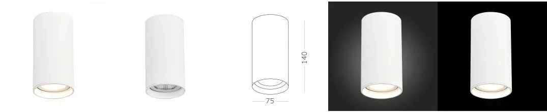 ST157.532.15 Светильник потолочный Белый LED 1*15W 3000K 1 200Lm Ra>90 60° IP44 D75xH140 220-265V