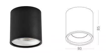 ST165.442.12 Светильник потолочный Черный LED 1*12W 4000K 840Lm Ra>90 36° IP44 D80xH85 85-265V