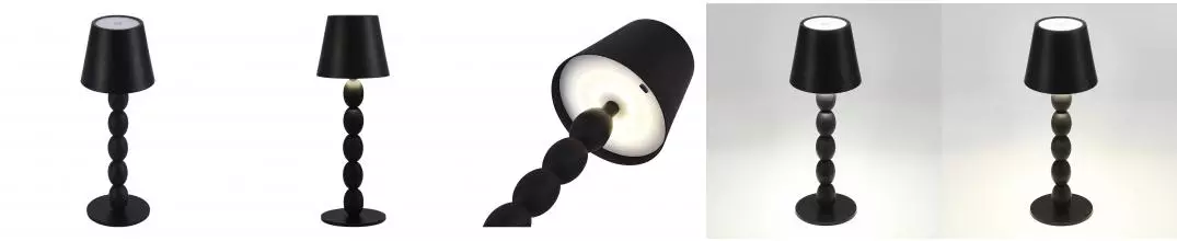 SL1011.404.01 Прикроватная лампа ST-Luce Черный/Черный LED 1*3W 3000-6000K