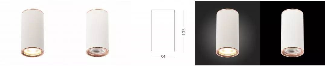 ST111.527.01 Светильник потолочный Белый GU10 1*50W D54xH105 220V Без ламп