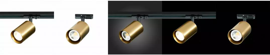 ST302.206.01 Светильник трек. Золотистый GU10 1*50W  IP20 L100xW70xH172 220V Без ламп · Base, St Luce, ST302.206.01 ST302.206.01 Светильник трек. Золотистый GU10 1*50W  IP20 L100xW70xH172 220V Без ламп · Base, St Luce, ST302.206.01