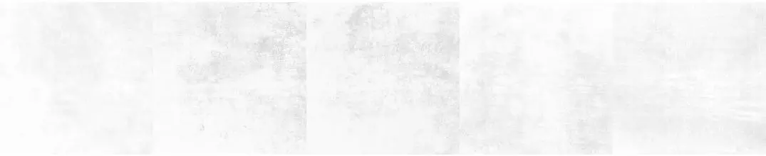 Напольная плитка «Fanal» Stardust Lapp. 90x90 40 929530 white Напольная плитка «Fanal» Stardust Lapp. 90x90 40 929530 white