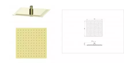 Верхний душ WONZON & WOGHAND, Брашированное золото (WW-88DP02-BG) · без серии, Wonzon & Woghand, WW-88DP02-BG
