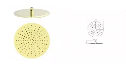 Верхний душ WONZON & WOGHAND, Брашированное золото (WW-88DP04-BG) · без серии, Wonzon & Woghand, WW-88DP04-BG