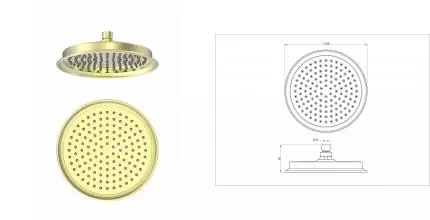 Верхний душ WONZON & WOGHAND, Брашированное золото (WW-88DP05-BG) · без серии, Wonzon & Woghand, WW-88DP05-BG