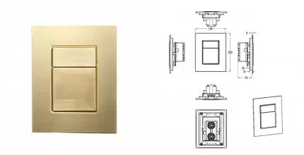 Кнопка смыва для инсталляции пневматическая WONZON & WOGHAND, Брашированное золото (WW-IB256-BG) · Wonzon & Woghand, WW-IB256-BG