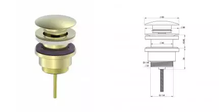 Донный клапан для раковины 1 1/4 WONZON & WOGHAND, Брашированное золото (WW-88SS07-BG) · Wonzon & Woghand, WW-88SS07-BG